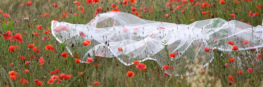 Wedding Veils – What Every Bride Needs to Know, a Blog by Cleveland Wedding Planner, Dr. Arlonda Stevens